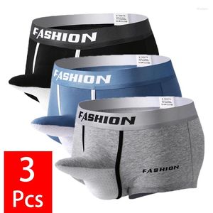 Sous-pants 3pcs / lot Coton Mens Boxer Shorts sexy u Bulge Pouche Homme sous-vêtements Elephant Nez Breathable Male Pantes Trunks