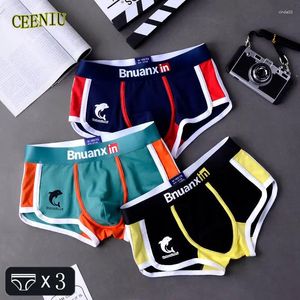 Sous-pants 3pcs / lot hommes culotte coton sous-vêtements boxers masculins fashion dolphin boxershorts tendances de la personnalité des jeunes