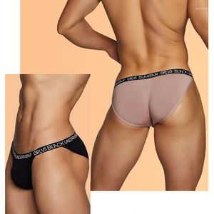 Slip 3PCS / LOT Sexy Sous-Vêtements Homme Briefs Set Modal Gay Hommes Slip Hombre Cuecas Homme Culotte Sissy Low Wasit Mens Underware