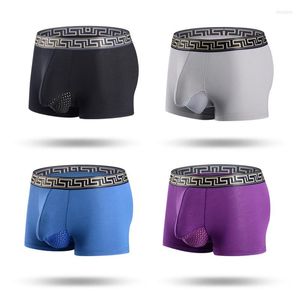 Caleçon 3 pièces hommes sous-vêtements confortables et respirants hommes évider sépare Scrotum conception Modal coton mâle Boxer Shorts