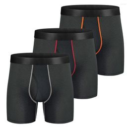 Conjunto de 3 uds de calzoncillos bóxer largos, calzoncillos para hombre, ropa interior masculina transpirable de malla para Boxershorts sexis para hombre, caja Gay