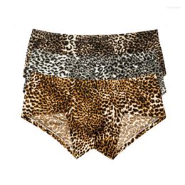 Onderbroek 3 Stks/set Sexy Heren Slips Luipaard Zachte Ademende Shorts Ondergoed Heupen Up Transparante Ardennen Suspensoirs Slipje