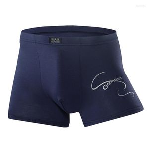Onderbroek 3xl katoen mannelijk slipje heren ondergoed boksers ademende man bokser stevige comfortabele shorts sexy lingerie