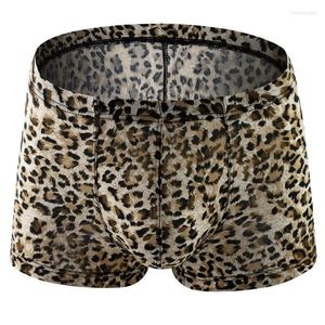 Caleçon 4 Couleurs Imprimé Animal Style Grands Hommes Cock Pouch Sexy Lingerie Boxer Sous-Vêtements Mâle Adulte Panites