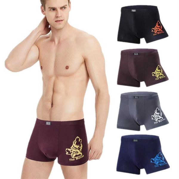 Sous-vêtements 4 pièces grande taille hommes Boxer slips Modal homme sous-vêtements sexy garçons étudiant sous-vêtements Homme boxeurs troncs Shorts L XL XXL 3XL271Y