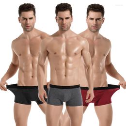 Caleçon 4 pièces/lot hommes Boxer Shorts solide coton sous-vêtement respirant confortable homme Sexy u-convexe doux Para Hombre