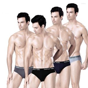 Slip 4 pièces/lot grande taille hommes slips Sexy hommes sous-vêtements Bikini bambou Gay Slip Hombre Cuecas