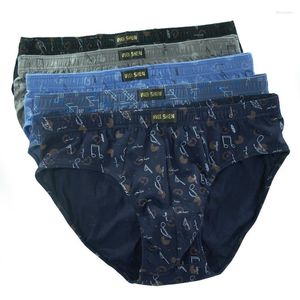 Caleçon 4 pièces/lot Est coton hommes slips grande taille hommes sous-vêtements culottes L/XL/2XL/3XL hommes respirant