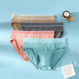 Onderbroek 4 stcs/veel sexy slips man ondergoed katoenen slipje solide calcinha fit en comfortabele mannelijke shorts u convex lingerie