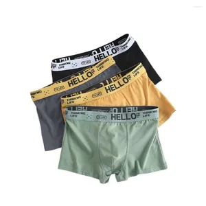 Sous-pants 4pcs hommes sous-vêtements boxers masculins sexy sexy confortable bac à culotte de garçons à la mode