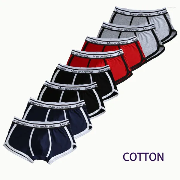 Sous-vêtements 4pcs Sous-vêtements pour hommes Coton Calzoncillos Hombre Haute Qualité Culotte Ropa Intérieur Sexy Lingerie Bokserki Boxer Shorts