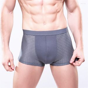 Onderbroek 4xl plus size men voor meren slipjes mannelijke man pack shorts boksers ondergoed slip bamboe gat ademende modale sexy heren bokser