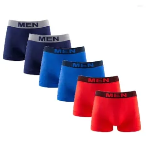 Sous-pants 5 packs Mens Underwear Sous sans couture Sexy Boxers hommes culotte de sport confortable Briefes de sport pour hommes shorts