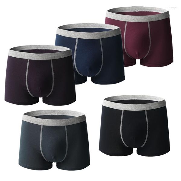 Caleçon 5 Pcs Grande Taille Boxer Shorts Sous-Vêtements Hommes Sous-Vêtements Culottes Plus Grand Coton Garçon Tissu Antibactérien