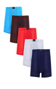 Onderbroek 5 PCSPACK BOXER MANNEN ondergoed mannelijke ademende shorts boksers long Men039s bokshorts kleding plus size6476580
