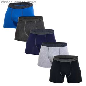 Onderbroek 5-delige set 2023 Heren ondergoed Katoen ondergoed Brand Boxer en ondergoed Heren Set Sexy Shorts Gift Slider Sales C240411