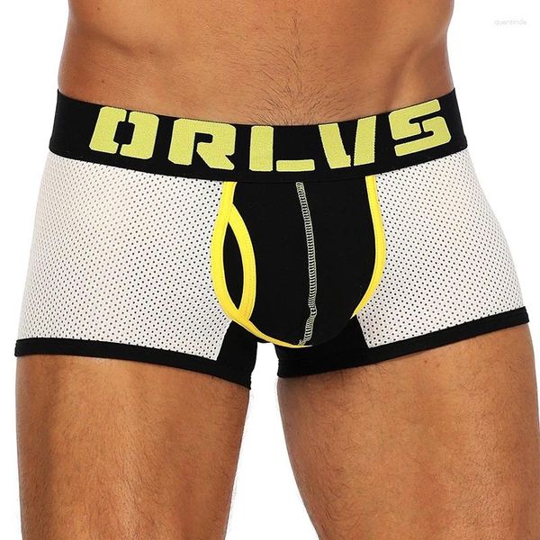 Calzoncillos 50 PC/LOT Venta al por mayor Ropa interior para hombres Boxers sexy Pantalones cortos sólidos Bragas masculinas transpirables Nylon Malla de secado rápido