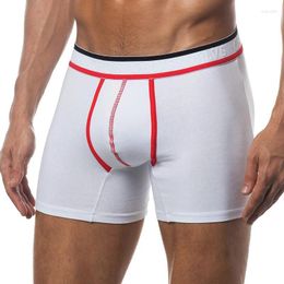 Onderbroeken 50 STK/PARTIJ Groothandel Mesh Heren Ondergoed Sexy Boxers Comfortabel Slipje Ademend Katoen Sneldrogende Shorts