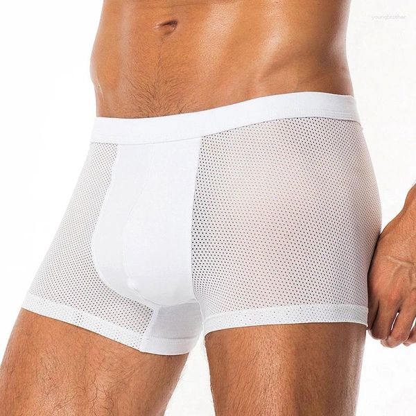 Sous-vêtements 50pc / lot en gros sous-vêtements sexy hommes boxeurs culottes masculines confortables en nylon respirant shorts maille