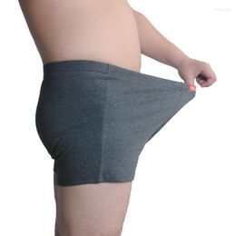Sous-pants 5pcs portent de grands sous-vêtements mâles de coton mâle plus taille masculine de taille haute marine / gris foncé / rouge 4xl 5xl 6xl 7xl 8xl 9xl