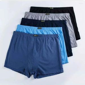 Sous-vêtements 5 pièces/lot 8XL grande taille hommes sous-vêtements coton hommes sous-vêtements respirant sans couture Sexy famille culottes mâle Boxer pour homme