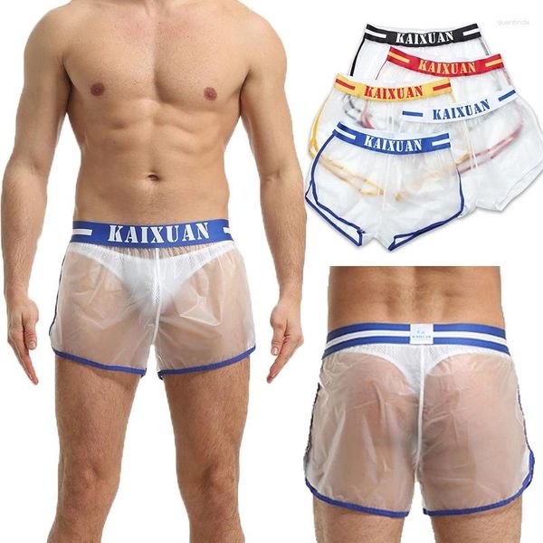 Calzoncillos de 5 piezas/lotes PVC Boxer Boxer Transparente Pantalones pantalones cortos sueltos Deportes Causados Fitness Bras