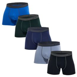 Calzoncillos 5 unids paquete 2023 hombres bragas ropa interior de algodón masculino marca boxeador y para homme lote conjunto de lujo sexy pantalones cortos regalo resbalón venta 230829