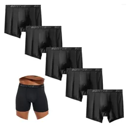 Onderbroek 5 Stuks Pack 2023 Mannen Slipje Polyester Ondergoed Mannelijke Merk Boxer En Voor Homme Lot Luxe Set Sexy shorts Gift Slip