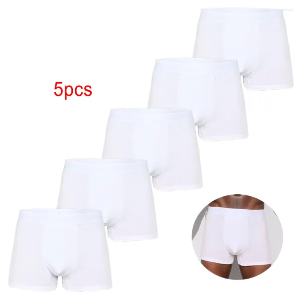 Calzoncillos 5 unids paquete blanco 2024 hombres bragas ropa interior de algodón masculino marca boxeador y para homme conjunto de lujo pantalones cortos caja kit de deslizamiento