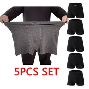 Calzoncillos 5PCS Set Men Boxers Plus Size Full Cotton Boxer Ropa interior