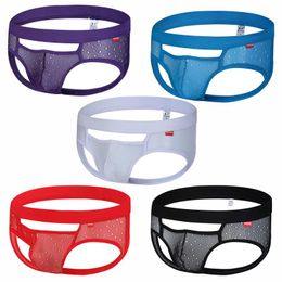 Onderbroek 5 Stks/set Heren Slips Sexy Ondergoed See Through Open BuUnderpants Strecthy Mannelijke Homme Slipje Jockstrap Sheer Bikini