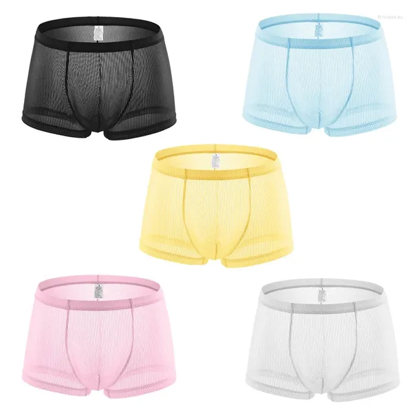 Sous-pants 5pcs hommes en gros des sous-vêtements Sexy Transparent Stripe Boxer Brief