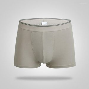 Onderbroek 6 kleur grote size witte shorts mannen merk boksers katoen spandex ondergoed man mid-rise man man gay 3pcs lot