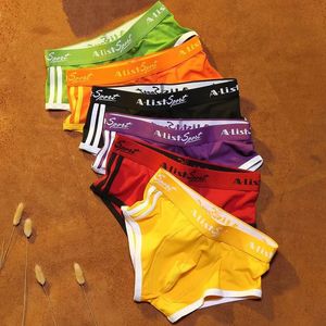 Onderbroeken 6 stuks grote maten slips van mannen ondergoed katoen sexy lingerie ondergoed shorts slipje knickers homme sml xl 2xl 3xl 231027