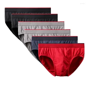 Sous-pants 6pcs coton pour hommes slip de sous-vêtements Men de sous-vêtements sexy