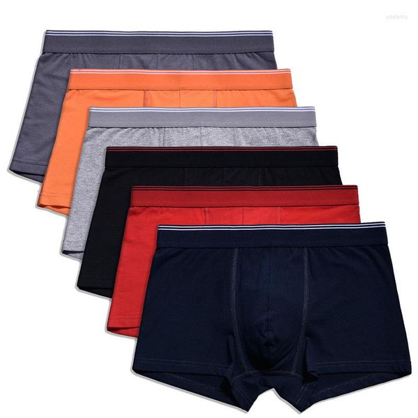 Caleçon 6 pièces/lot coton hommes culottes sous-vêtements masculins boxeurs respirant homme Boxer solide confortable Shorts Sexy Lingerie