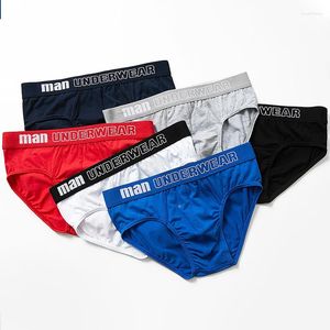 6-Pack Cotton Briefs: Breathable Men's Underwear for All-Day Comfort