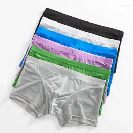 Sous-pants 6pcs / lot Sexy Sexy Transparent Underwear Lingerie Ultra mince Boxer en maille transparente Trunks Penis Pouch Boxers Bas de basses