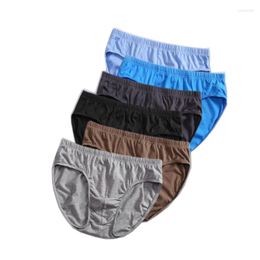 Sous-vêtements 6pcs / lot hommes sous-vêtements coton slips mâle grande taille l-5xl confortable culotte solide