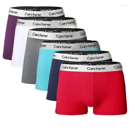 Sous-vêtements 6pcs hommes boxeurs homme court respirant flexible short confortable belle culotte solide