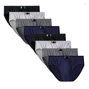 Sous-vêtements 8pcs Mode Hommes Culottes Hommes Coton Sous-vêtements Hommes Briefsr Bikini Pantalon Confortable Sexy Slip L-6XL