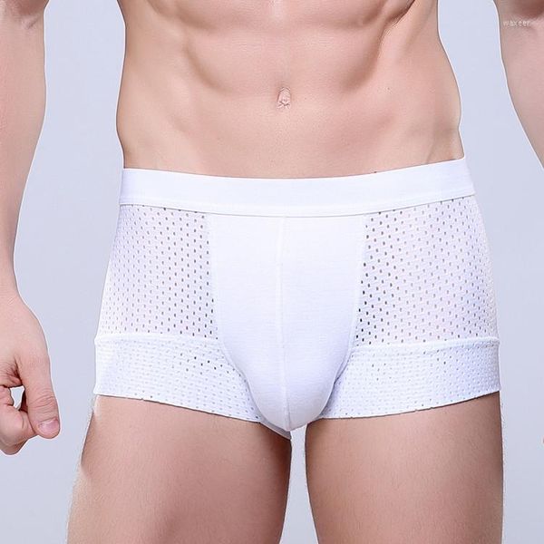 Calzoncillos !!! 8 unids/lote de pantalones cortos de fibra de bambú sólido para hombre