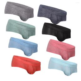 Sous-vêtements 8pcs taille basse coton slips sexy tentation sous-vêtements pénis pochette hommes bikini cueca masculina