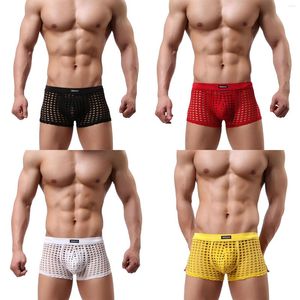 Caleçons adultes Sexy hommes résille boxeurs slips transparent respirant taille basse hommes sous-vêtements bas culottes vêtements de nuit