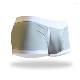 Caleçon AIIOU 2023 Hommes Boxer Glace Soie Sexy Sous-Vêtements Doux Mâle Culotte Boxershorts 3D Poche Shorts Confortable Respirant Court