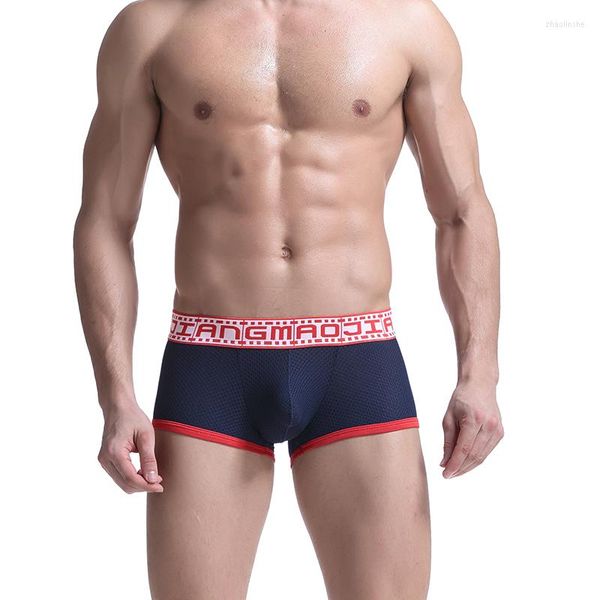 Caleçon AIIOU Sexy hommes Boxer sous-vêtements courts culotte U convexe grande poche respirant maille trou hommes tronc