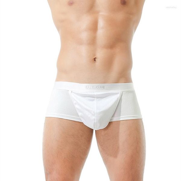 Calzoncillos Alherff 100, bragas sedosas para hombre, ropa interior de seda helada, cubierta de pene transpirable y antibacteriana saludable