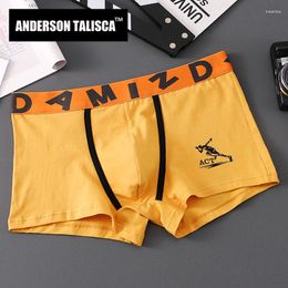 Onderbroek Anderson Talisca brief ondergoed mannen bokser ropa interieur hombre penis heren boksers calzoncillos cuecas masculinas maat m-3xl