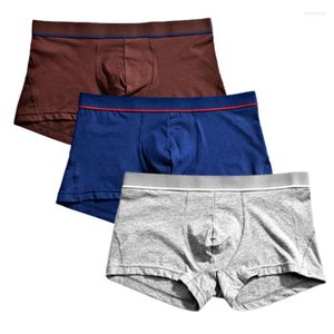 Caleçon grande taille sous-vêtements d'hommes boxeurs slips garçon sous-vêtements culotte Sexy Homme culotte U convexe Shorts 3 pièces couleurs unies