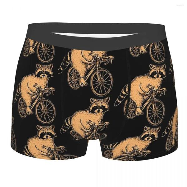 Calzoncillos para bicicleta, ciclista, carreras, lindo mapache, bragas transpirables, ropa interior para hombre, pantalones cortos estampados, calzoncillos tipo bóxer